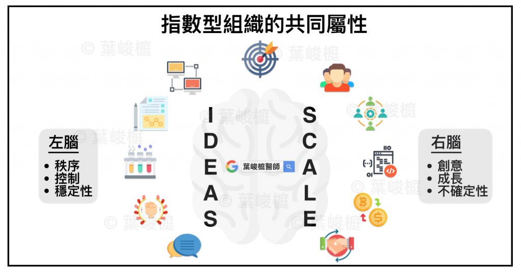 exponential organization, binance